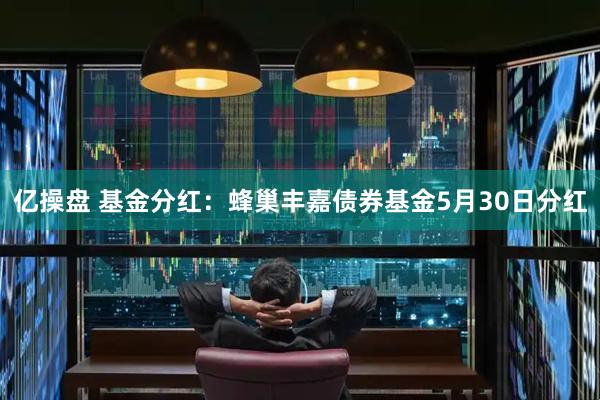 亿操盘 基金分红：蜂巢丰嘉债券基金5月30日分红