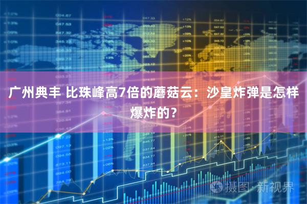 广州典丰 比珠峰高7倍的蘑菇云：沙皇炸弹是怎样爆炸的？