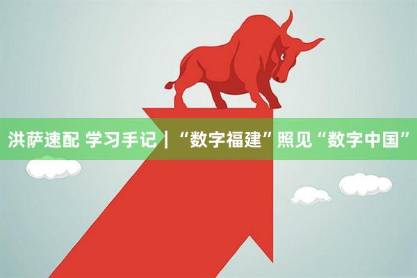 洪萨速配 学习手记｜“数字福建”照见“数字中国”